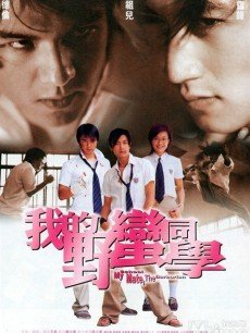 我的野蛮同学海报