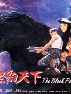 黑豹天下海报