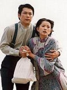 辛家媳妇海报