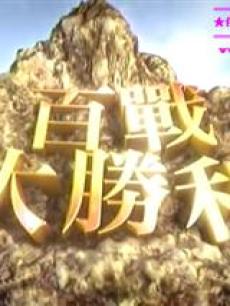 百战大胜利海报