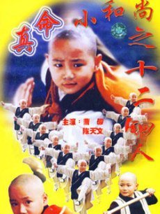 真命小和尚:十二铜人海报