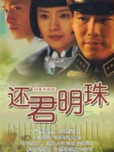 还君明珠海报